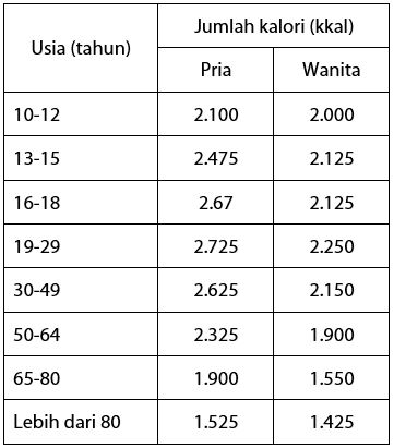 Berapa Kebutuhan Kalori Harian pada Masing-masing Usia?